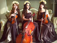 Струнное трио Violin Group DOLLS (2)