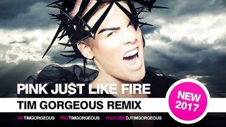 Pink - Just Like Fire (Tim Gorgeous Remix)