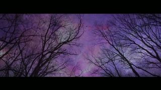 Pink Elephant feat. Irene - The Unicorns (Vannys Remix Edit)