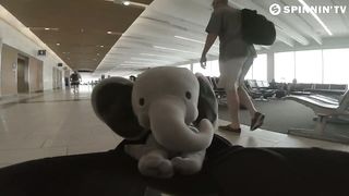 BORGORE - Elefante