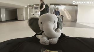 BORGORE - Elefante