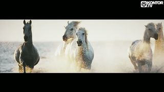 Lotus & Antonia feat. Jay Sean & Pitbull - Wild Wild Horses