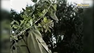 Александр Розенбаум - Черный тюльпан