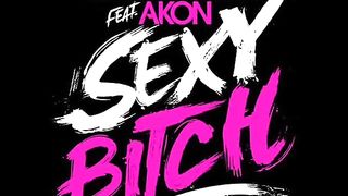 David Guetta feat Pitbull and Akon - Sexy Bitch (Аудиоверсия)