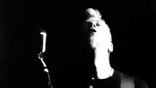 Lou Reed & Metallica - The View